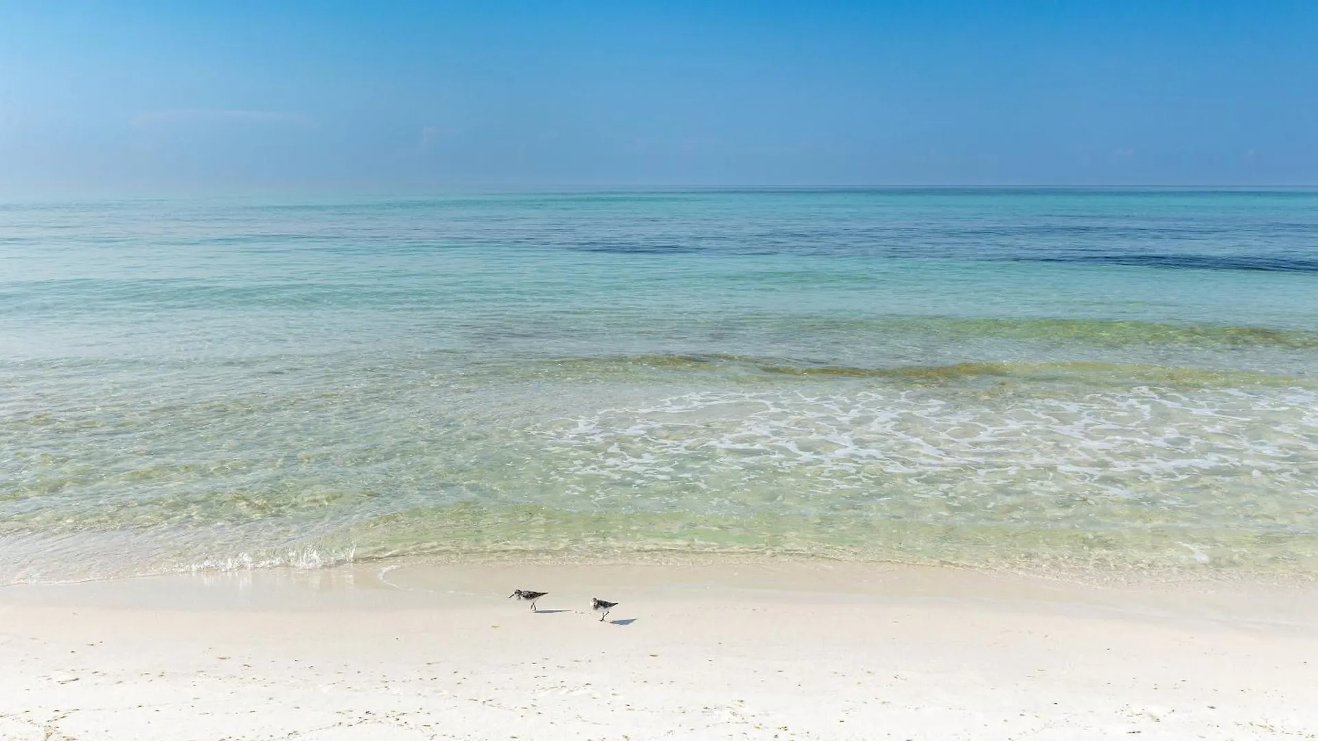 Inlet Reef 301- By Holiday Isle Properties Destin